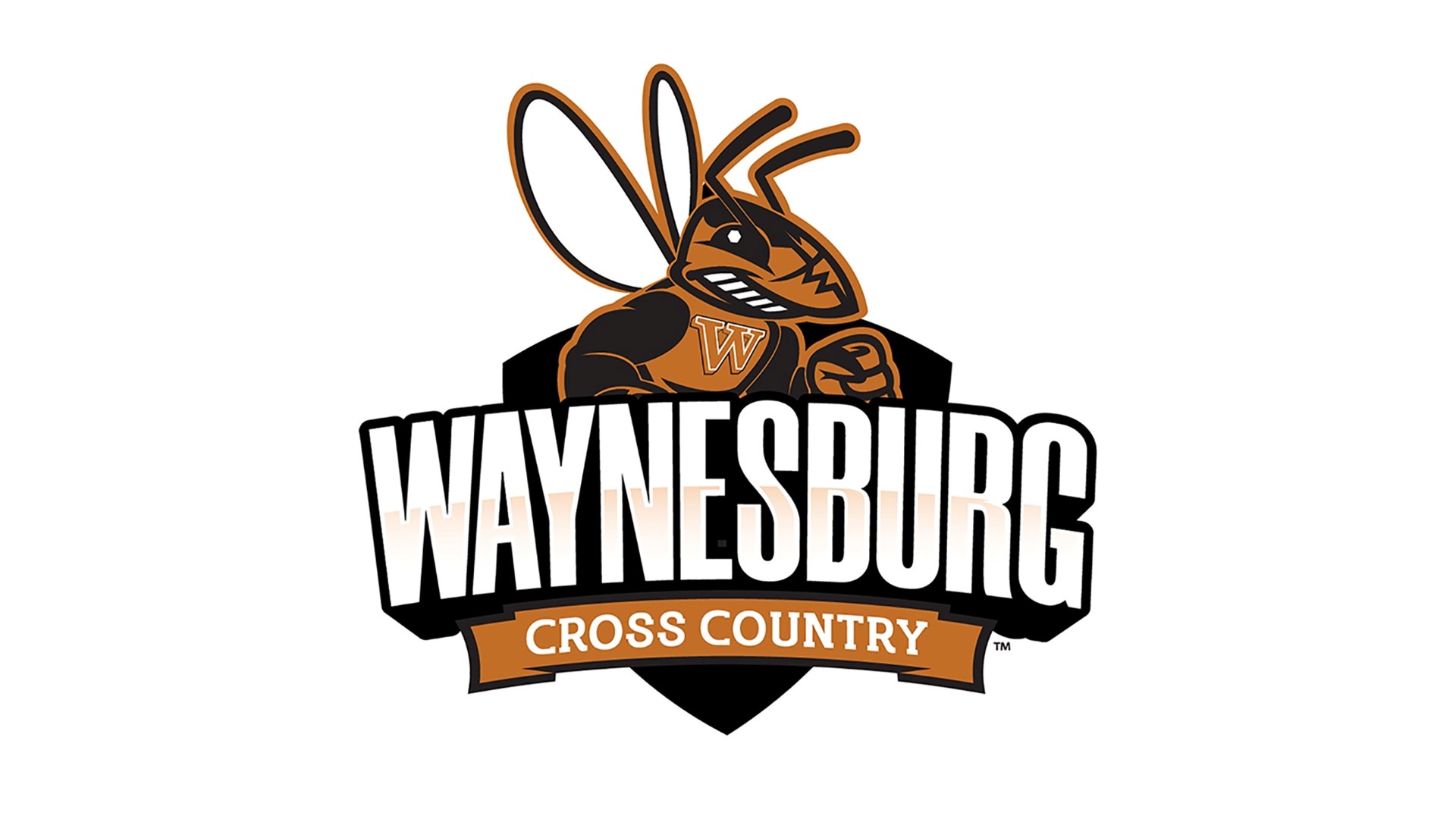 Waynesburg XC season recap & preview for 2024 - The Yellow Jacket